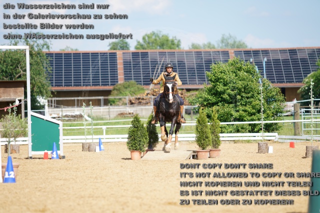 s_K3F07132.JPG